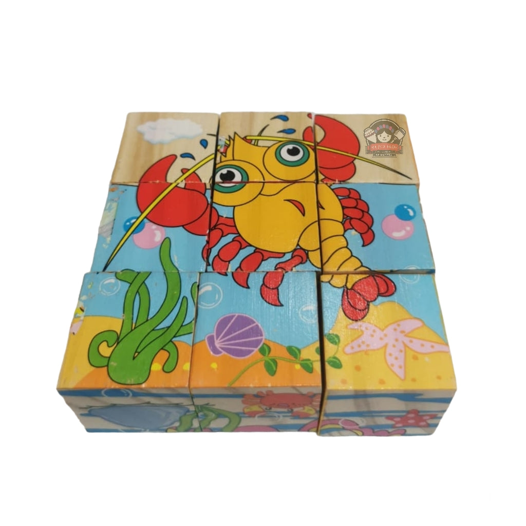 Rompecabezas de Cubos 9 Piezas
