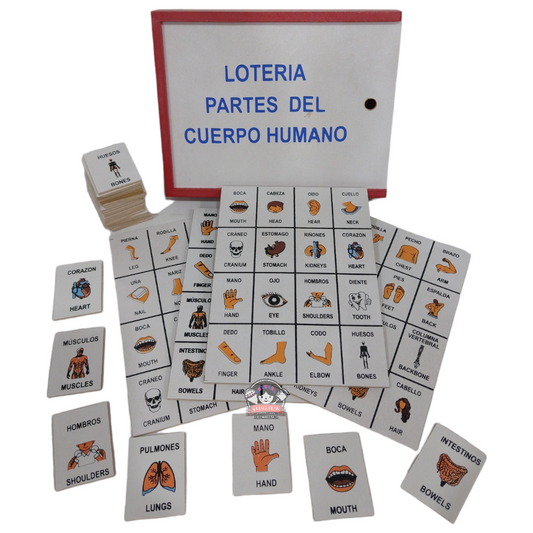 Lotería del Cuerpo Humano