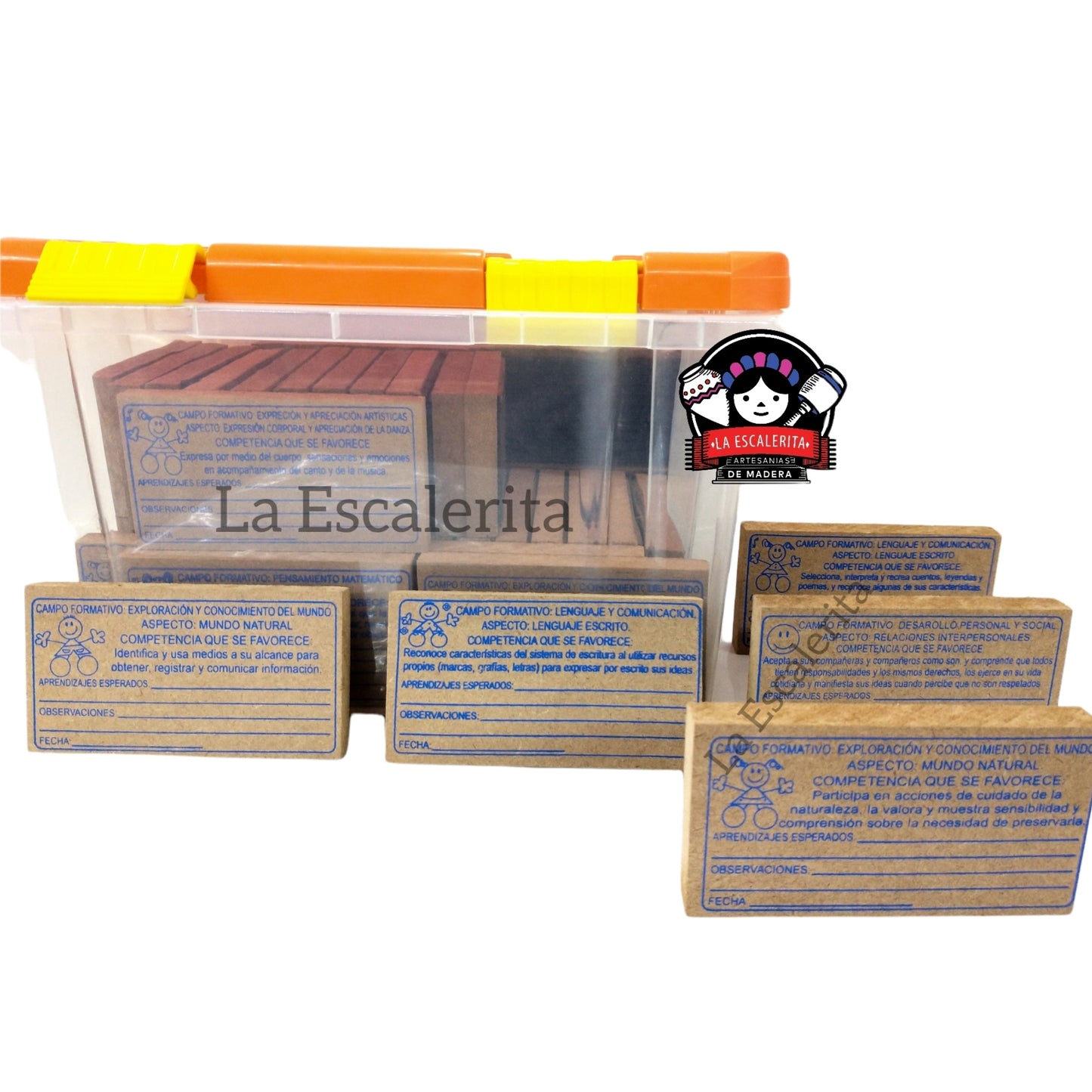 Caja de Campos Formativos