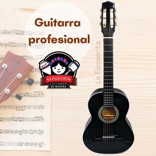 Guitarra Profesional