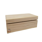 Caja Bisagra 21x13x8