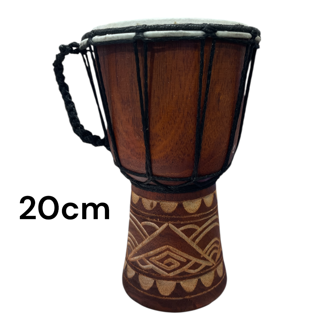 Conga tallada med 20cm