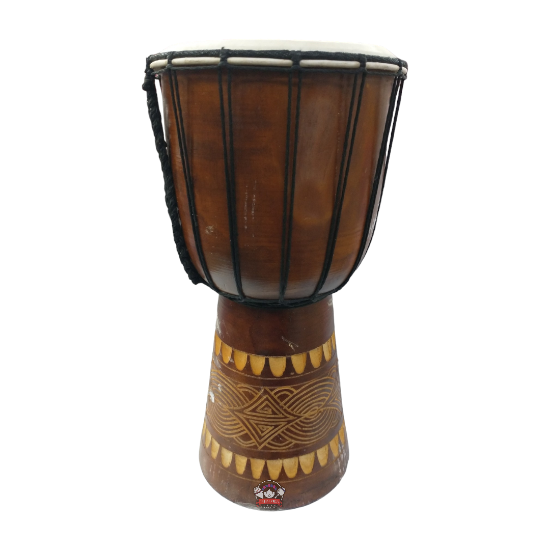 Conga tallada med 25cm