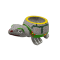 Tortuga molcajete mediana