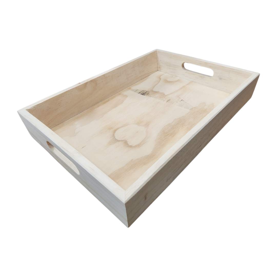 Charola c/asa 25x35x5